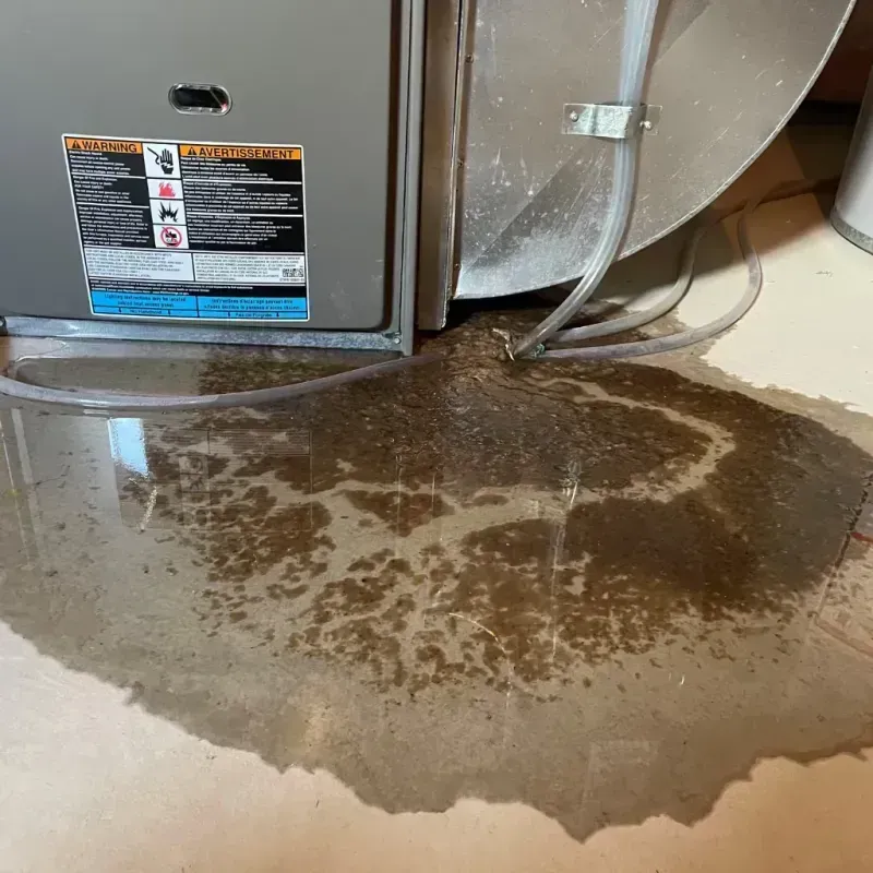 Appliance Leak Cleanup in Fairfield, ID